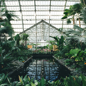 久久精品人成免费
